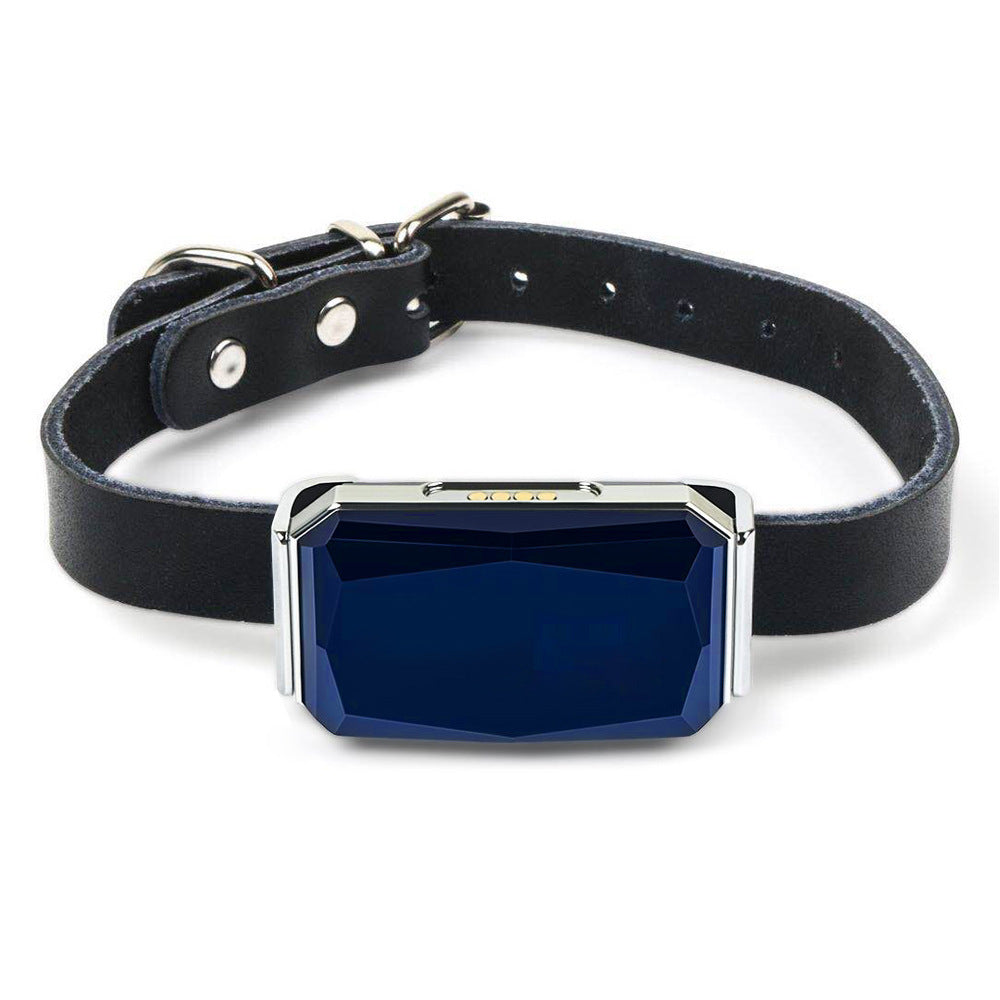 Never Lose Your Pet with This GPS Tracker