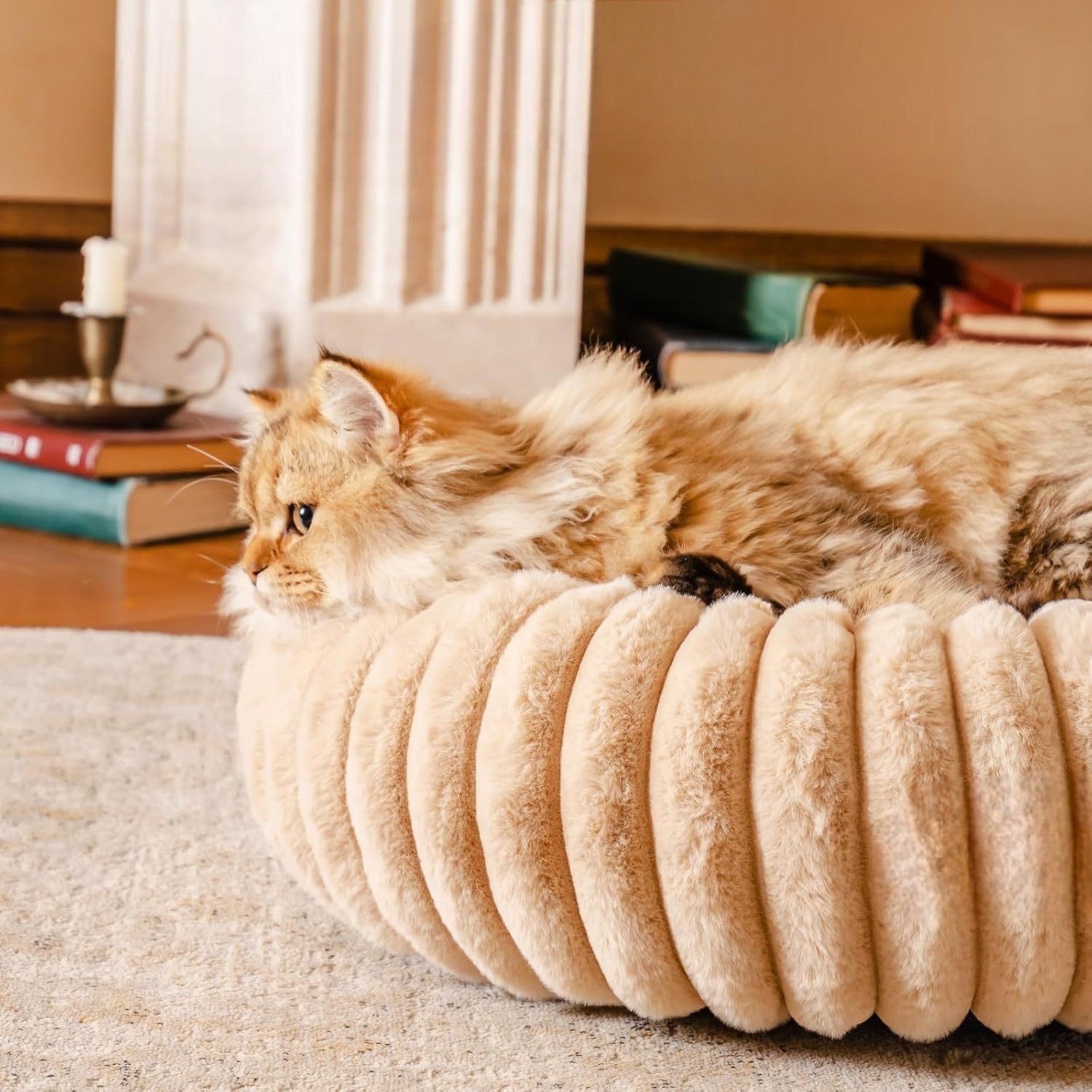 Calm & Cozy