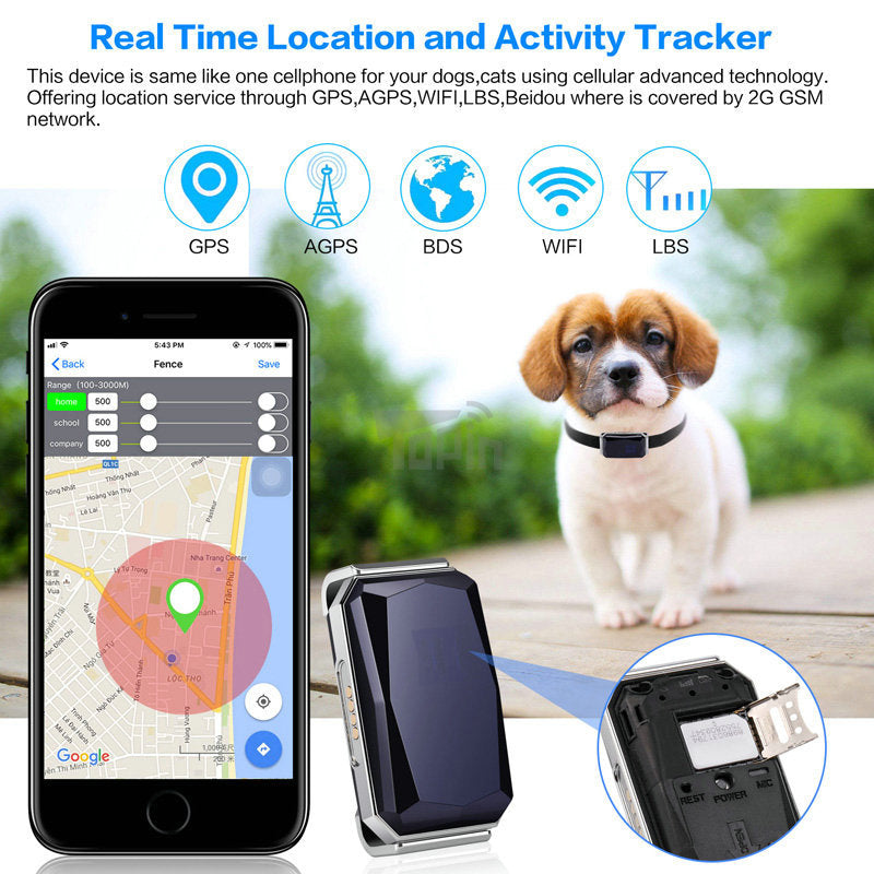 Never Lose Your Pet with This GPS Tracker