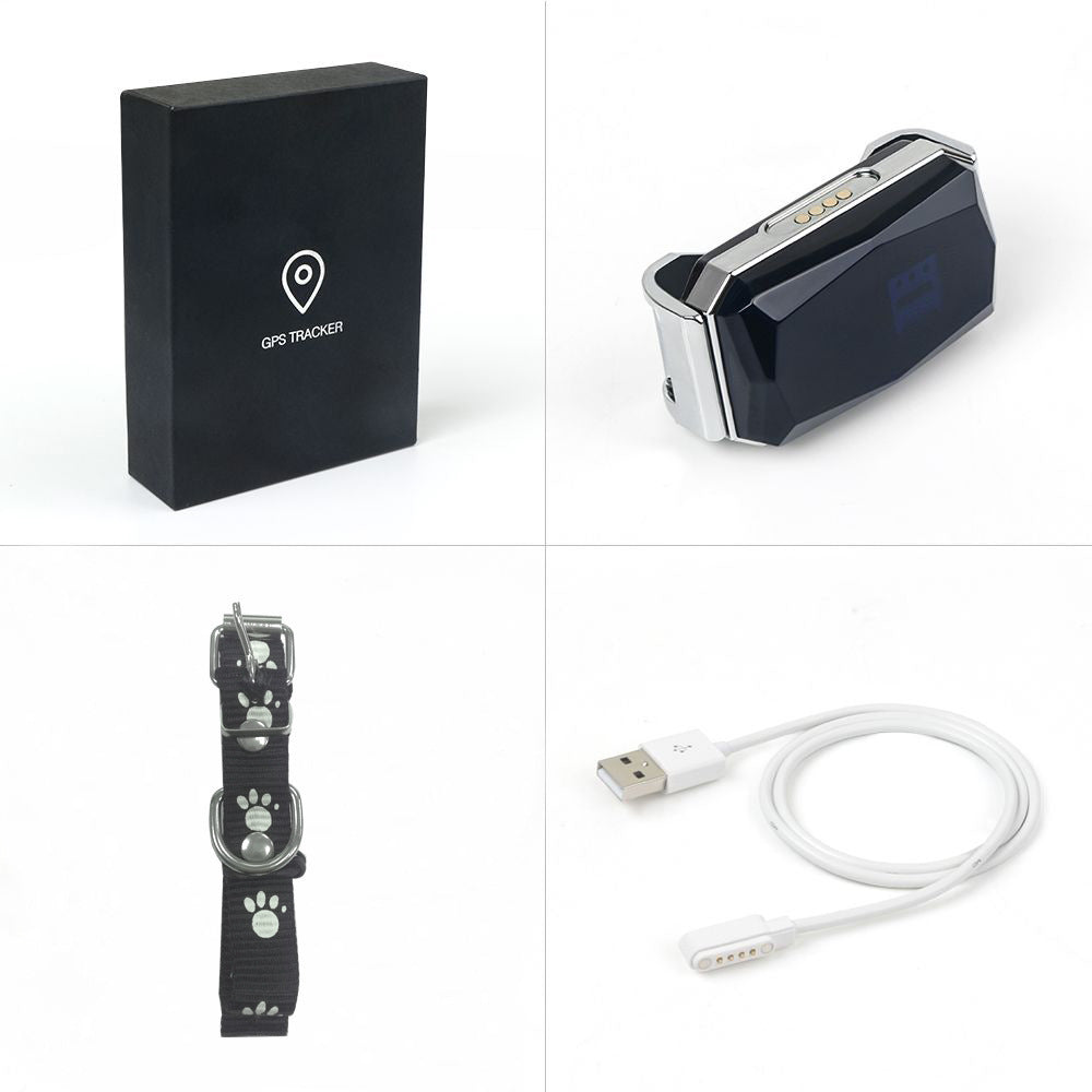 Never Lose Your Pet with This GPS Tracker
