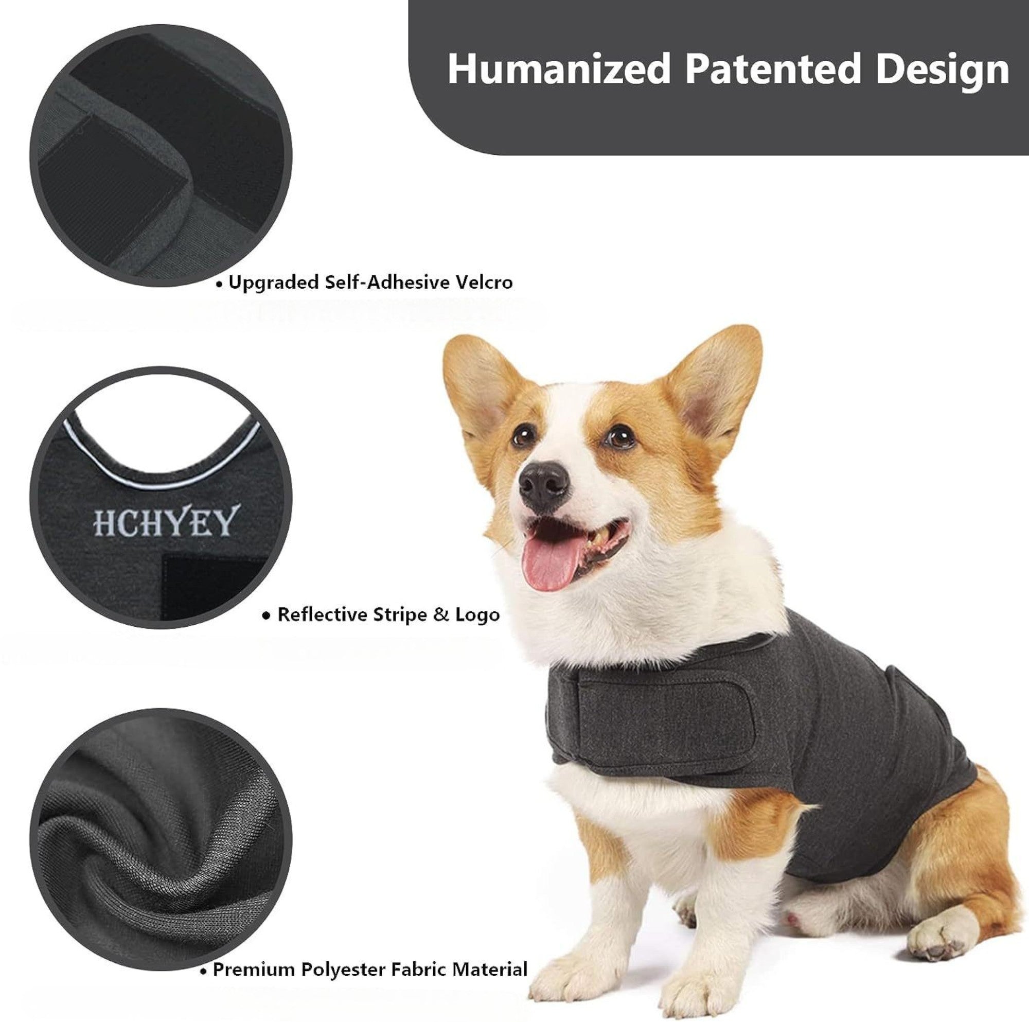 Anxious Dog? Wrap Them in Instant Calm