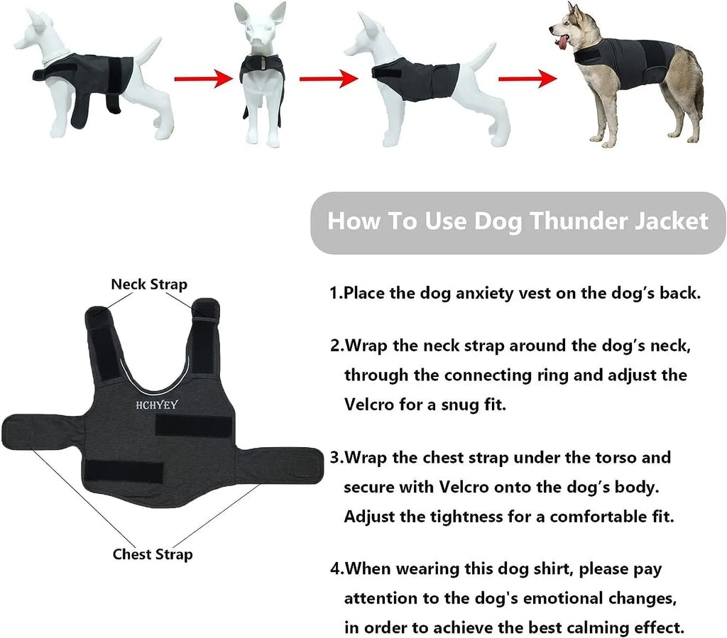 Anxious Dog? Wrap Them in Instant Calm