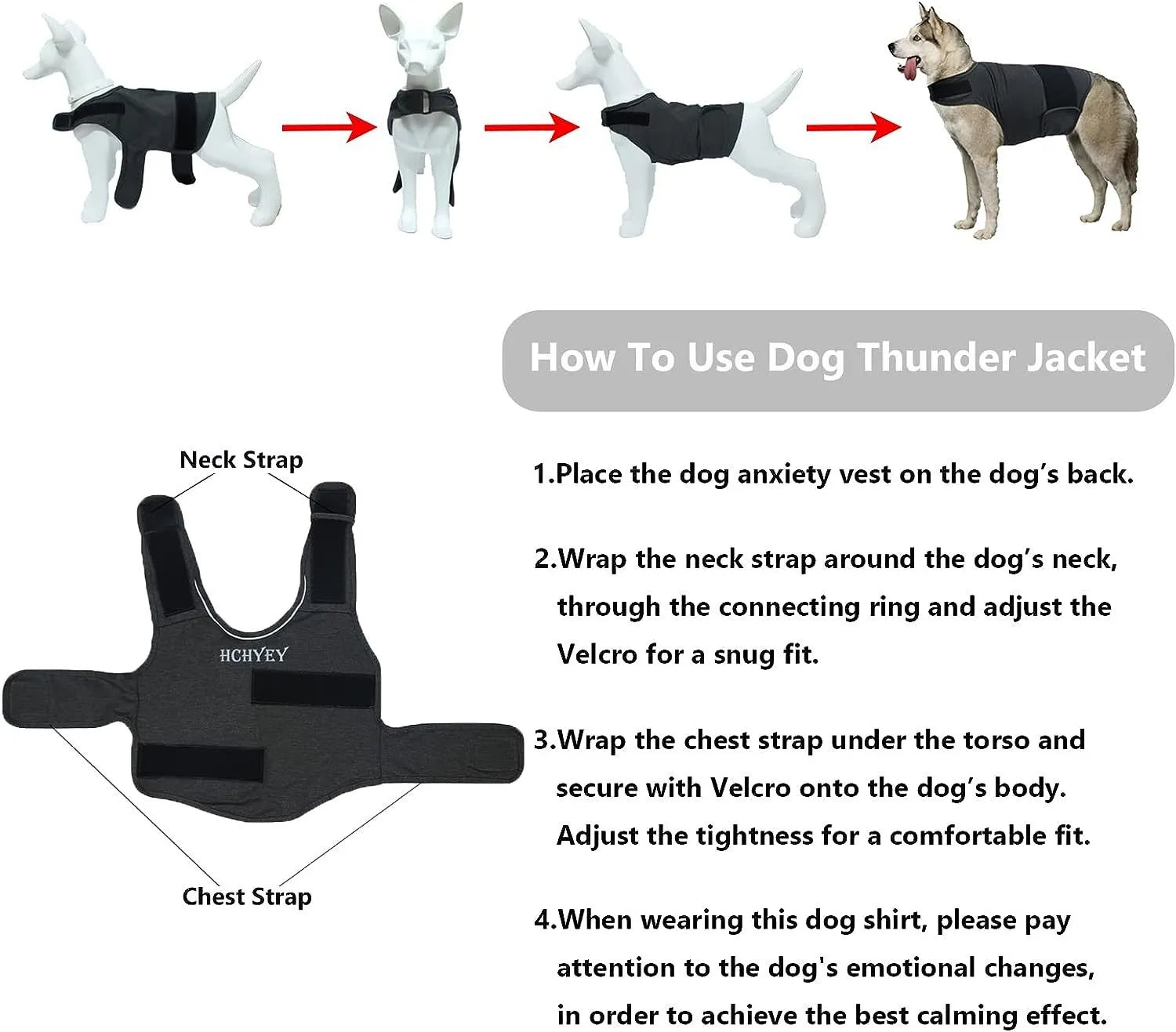 Anxious Dog? Wrap Them in Instant Calm