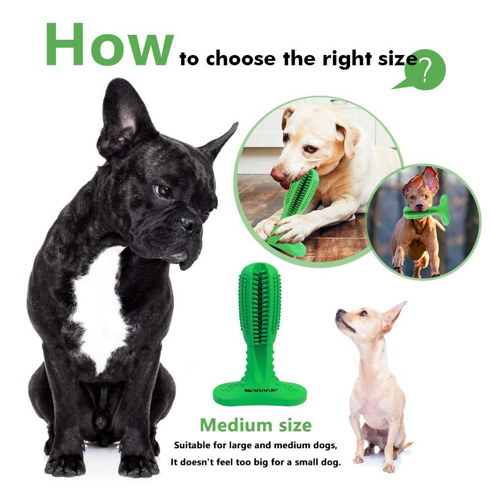 Chew Toy That Cleans Teeth—No Brushing Needed
