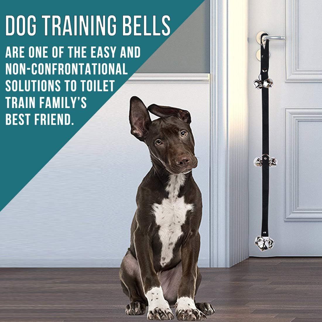 Premium Dog Potty Training Doorbell – Easy Puppy Trainer