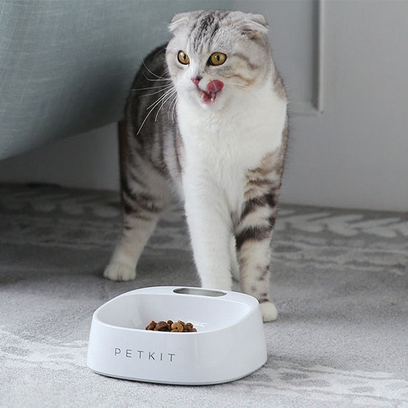Smart Feeding Bowl for Dogs and Cats With Busy Owners