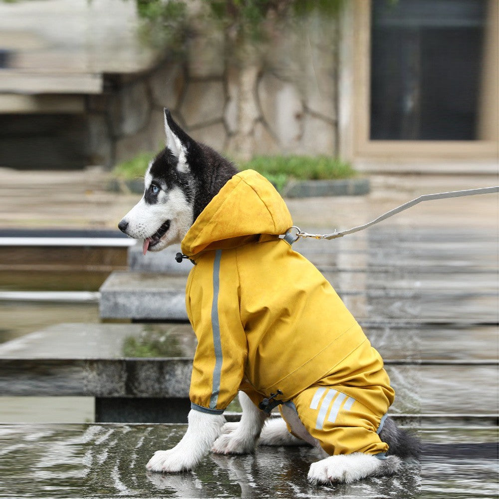 Keep Your Dog Dry and Visible in Rain