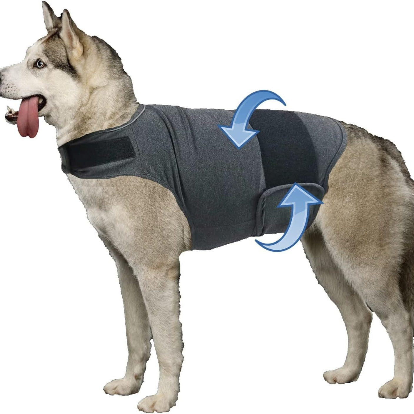 Anxious Dog? Wrap Them in Instant Calm