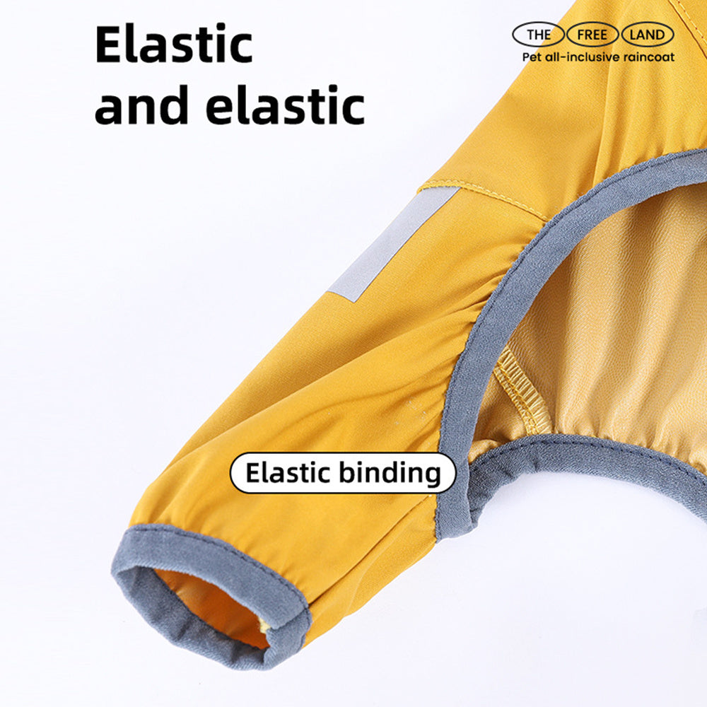 Keep Your Dog Dry and Visible in Rain