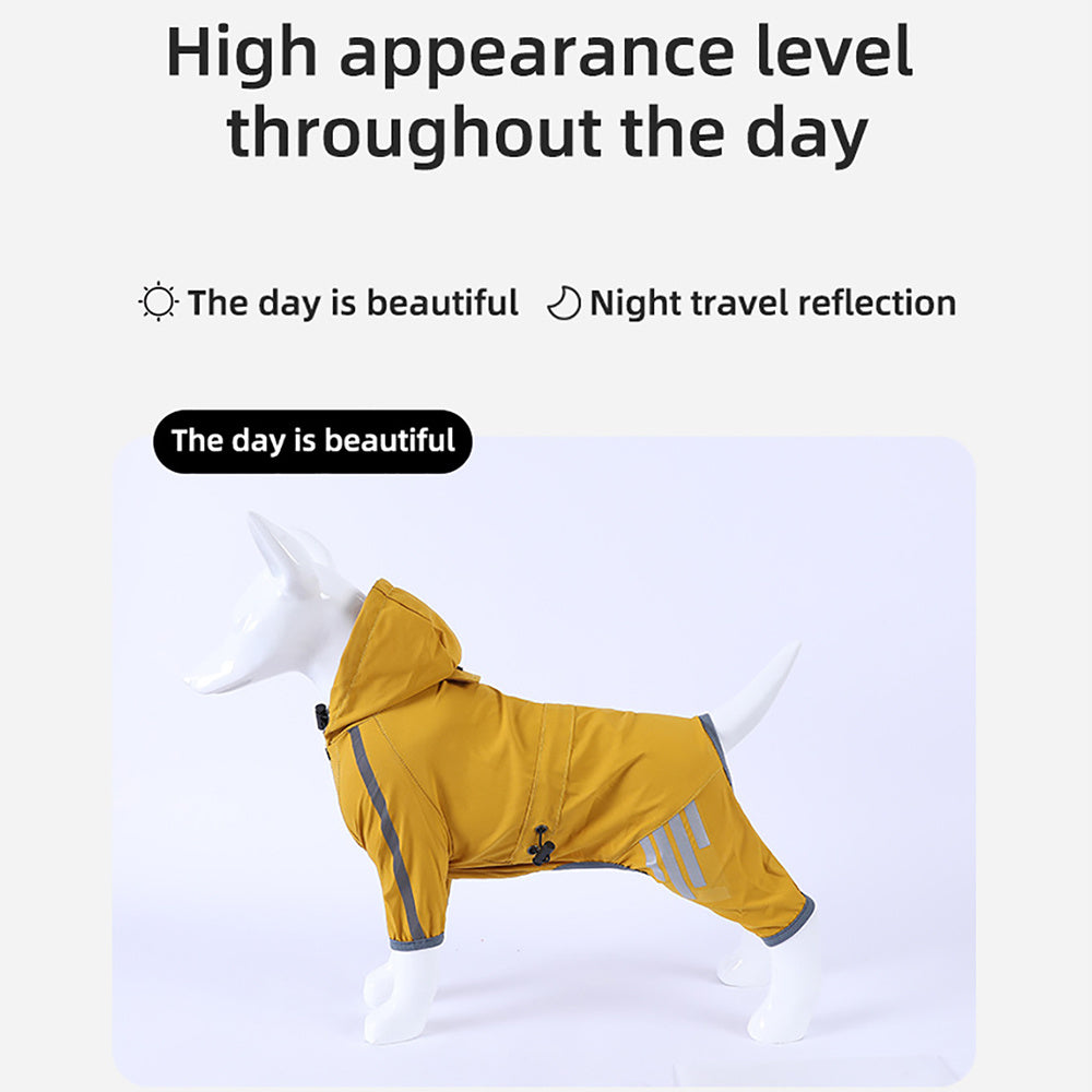 Keep Your Dog Dry and Visible in Rain